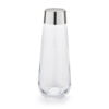 Sterling Silver Tall Glass Vase by Francis Howard