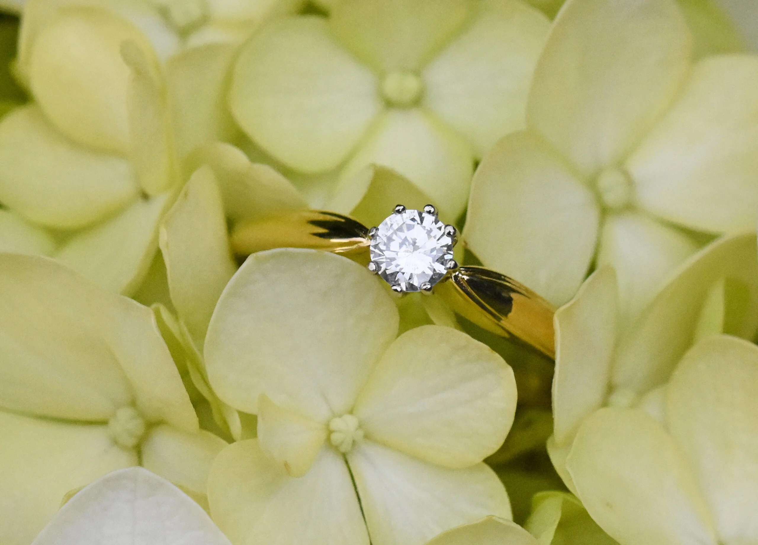 Modern Diamond Single Stone Ring - Image 3