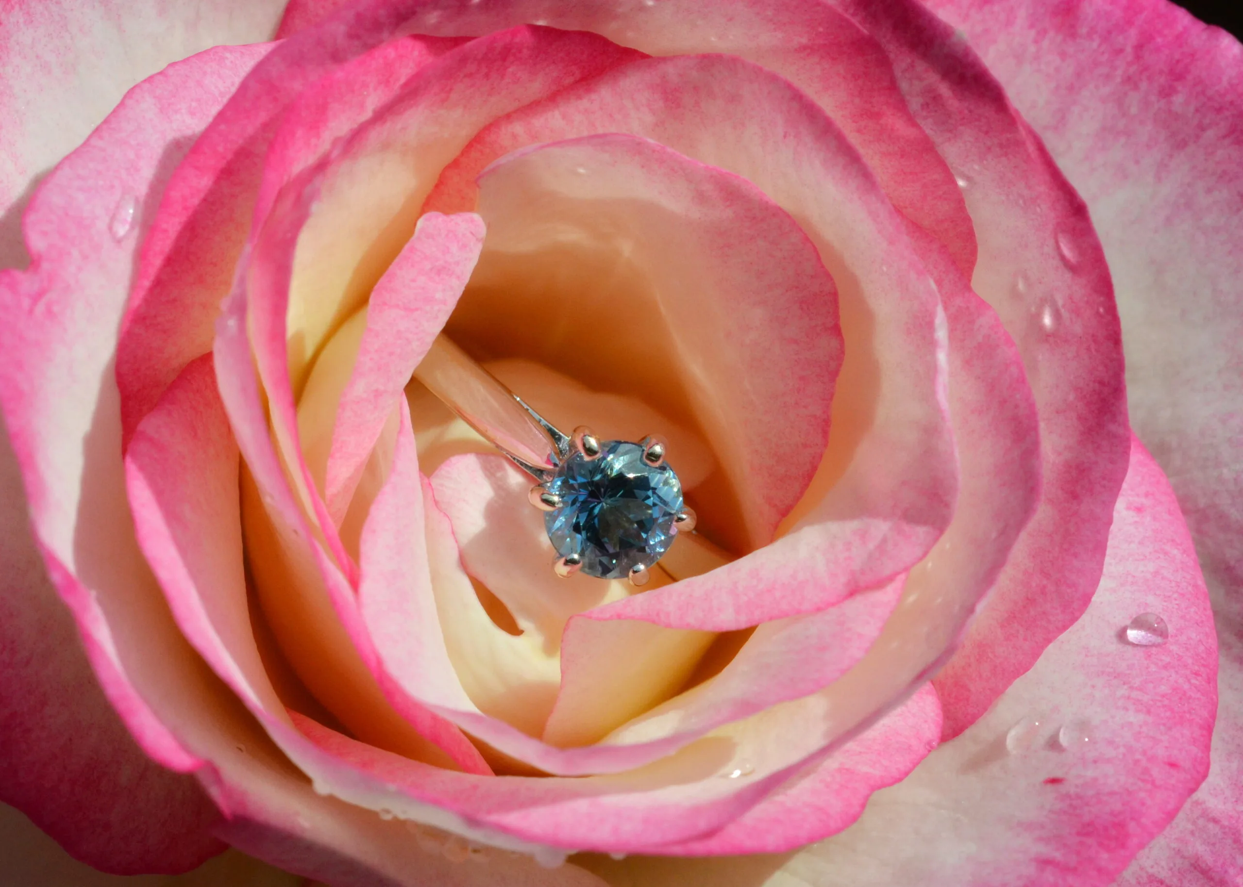 Aquamarine 18ct White Gold Solitaire Ring - Image 7