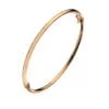 Curteis 9 Carat Red Gold Plain Hollow Hinged Bangle