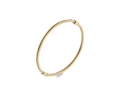 Curteis 9 Carat Yellow Gold Solid Hinged 2mm Square Bangle