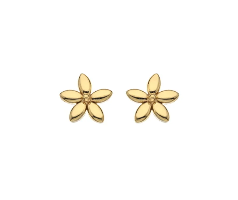 Curteis 9 Carat Gold Polished 5 Petal Flower Stud Earrings